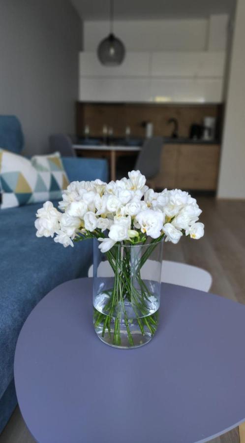 Apartament Kameleon Dźwirzyno Zewnętrze zdjęcie